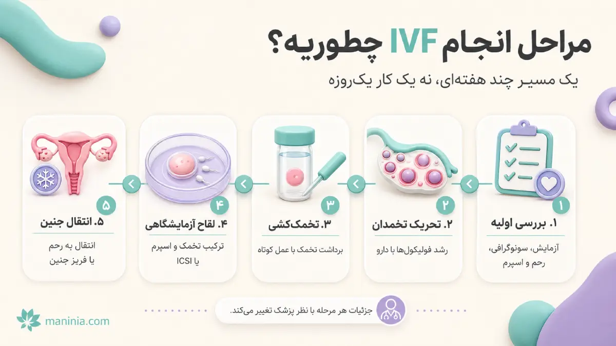مراحل IVF در مشهد
